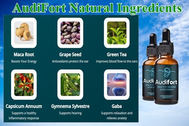 AudiFort Ingredients